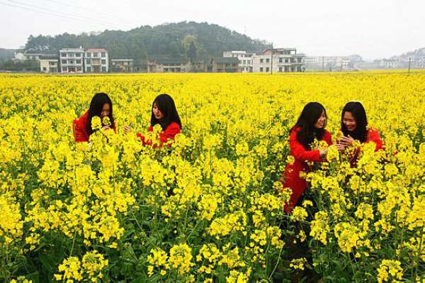 ɫ ˫ db羺¼•˫Ͳ˻ĻνڼĻ